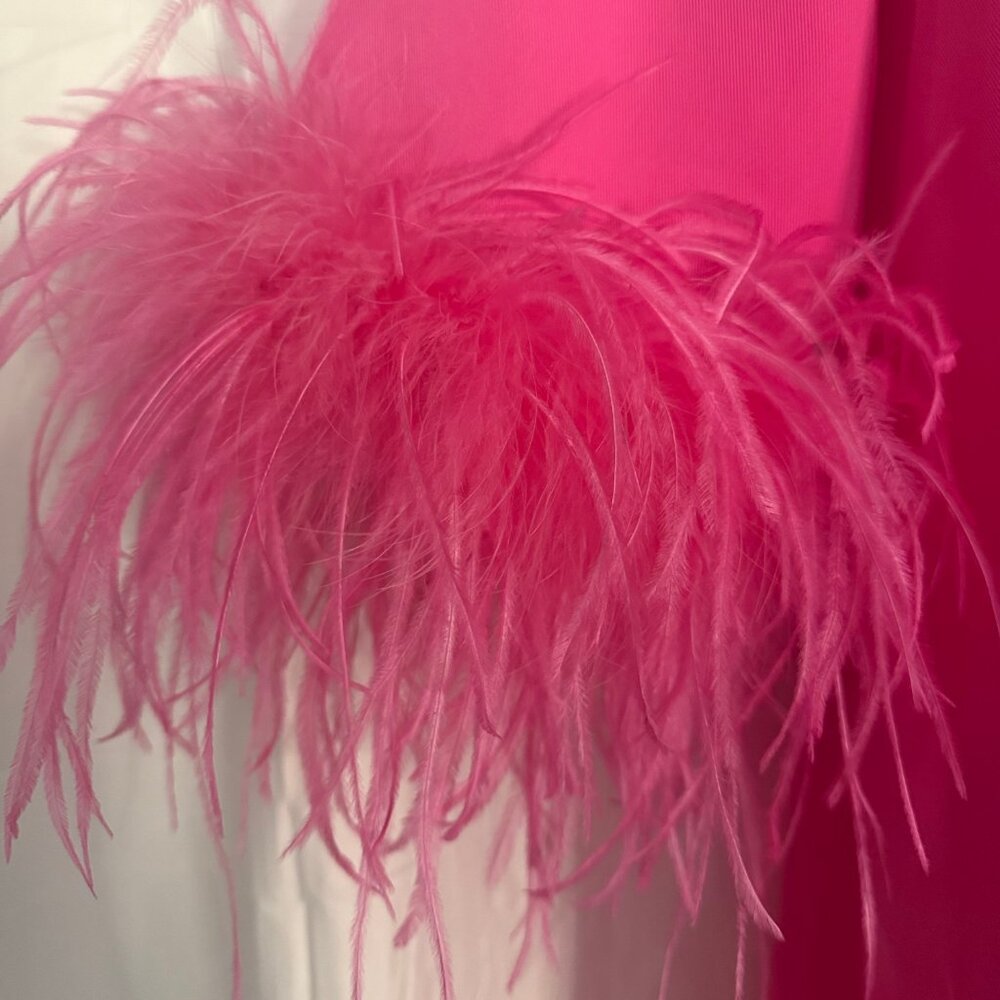 Tuckernuck Hot Pink Feather Jamie Dress | SMALL | SIZE 4-6 | NWT - Picture 12 of 15